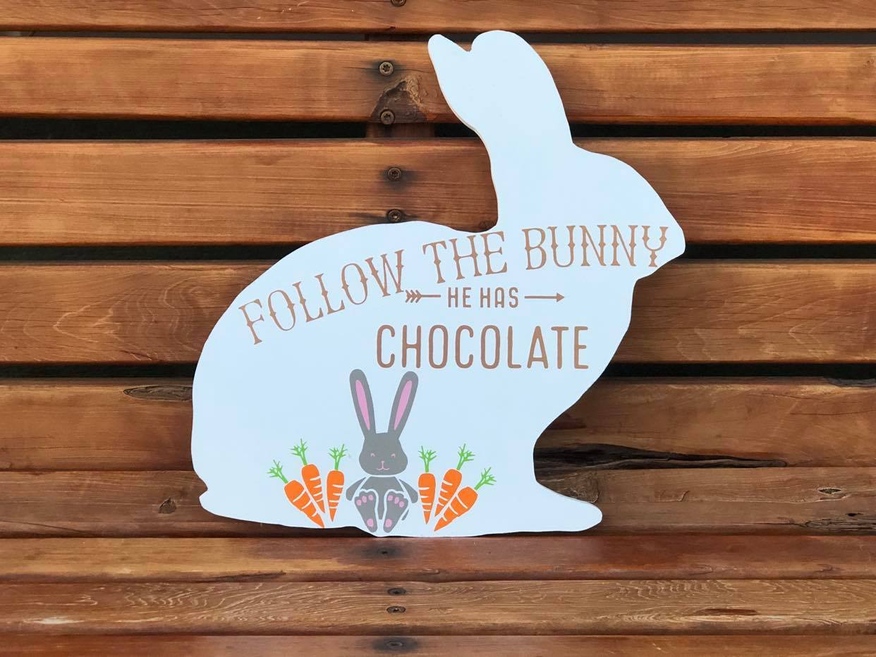 Follow the Bunny