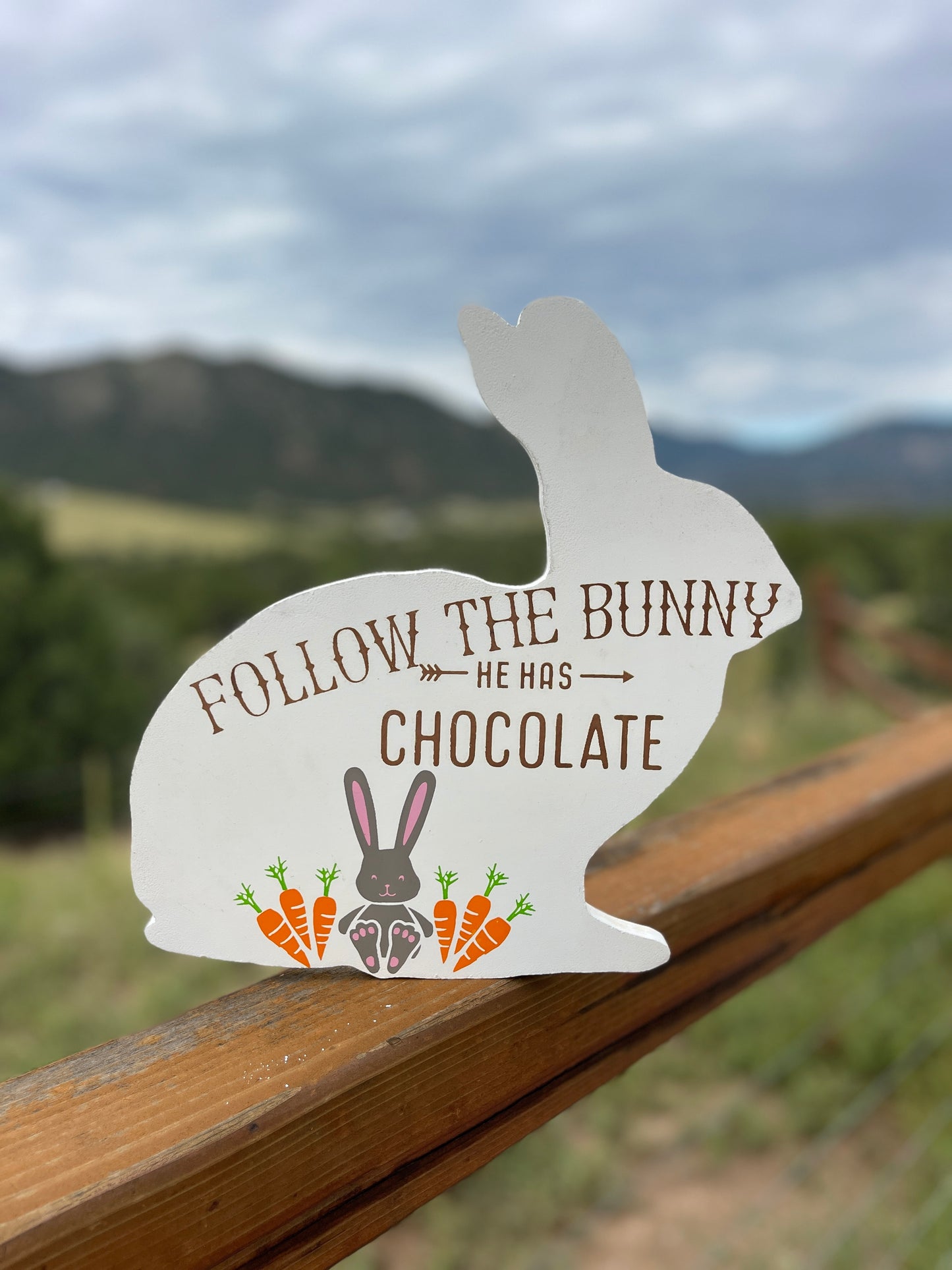 Follow the Bunny