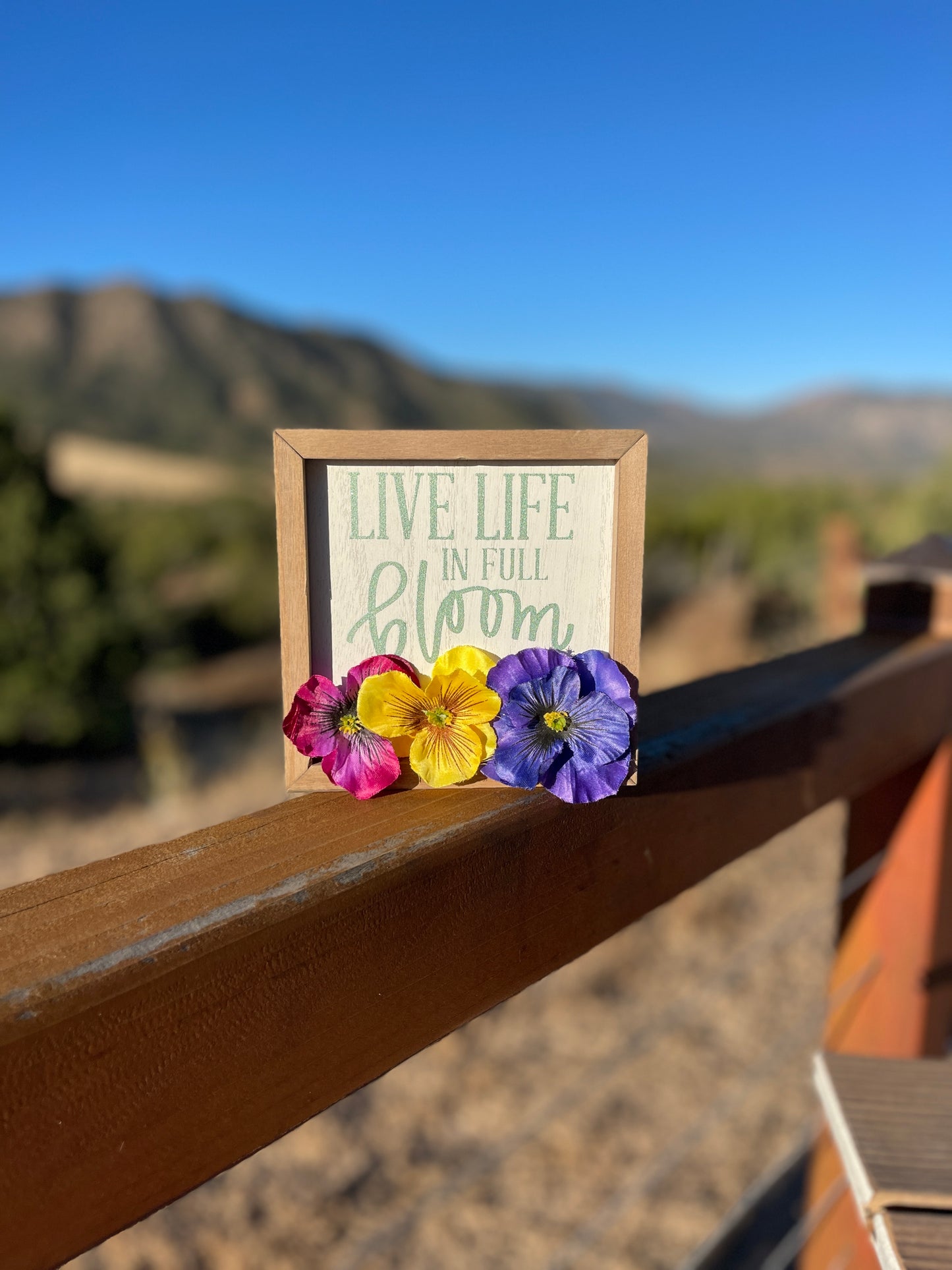 Live Life in Full Bloom Box Frame