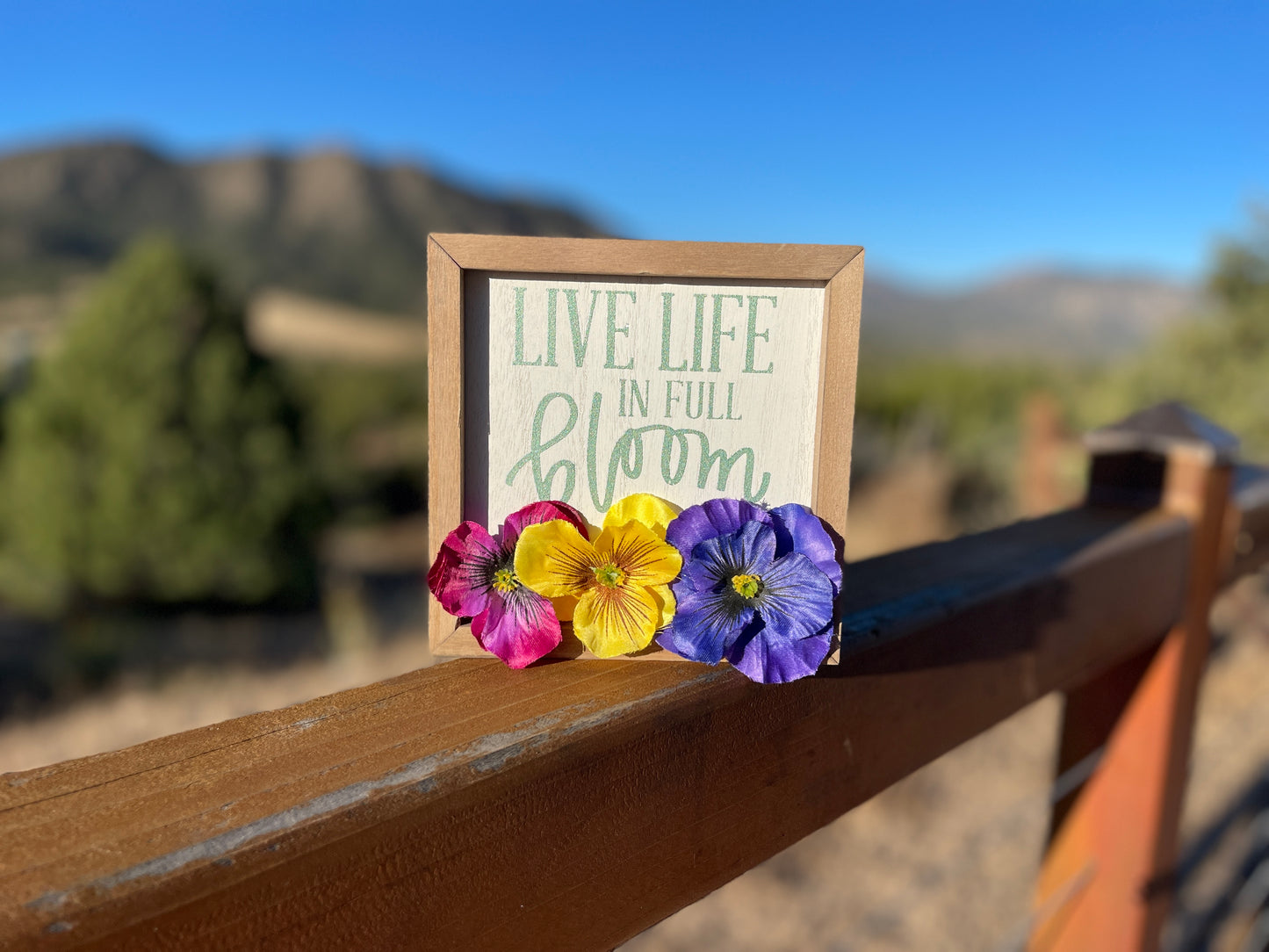 Live Life in Full Bloom Box Frame