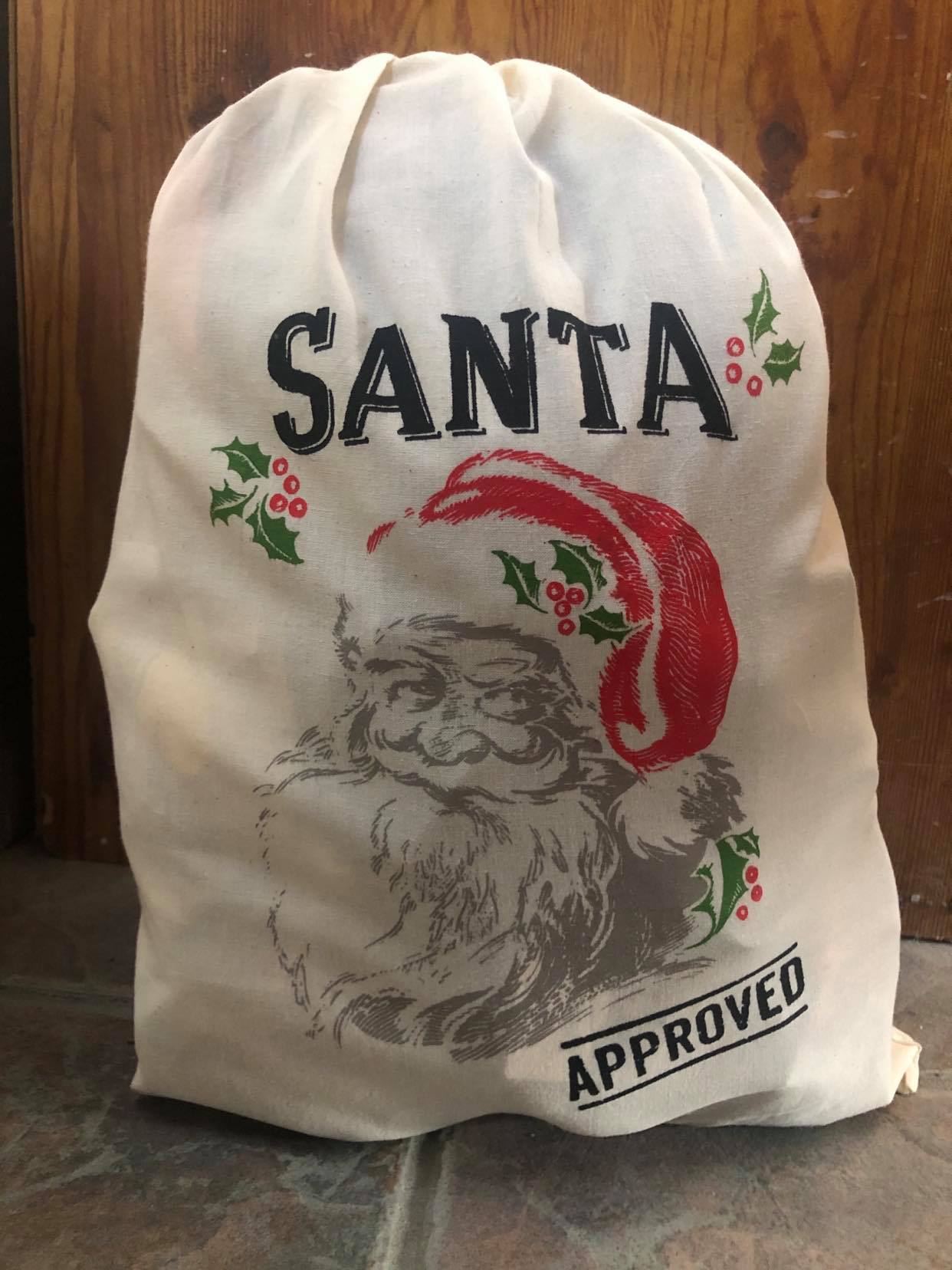 Santa Approved Gift Bag