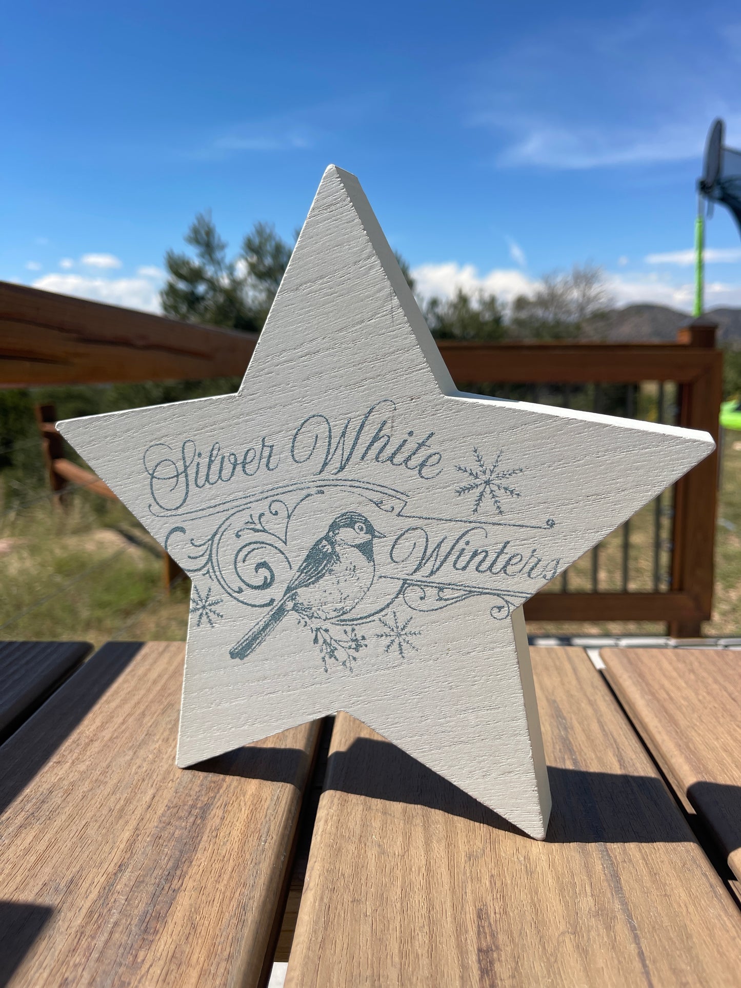 Silver White Winters Star Cutout