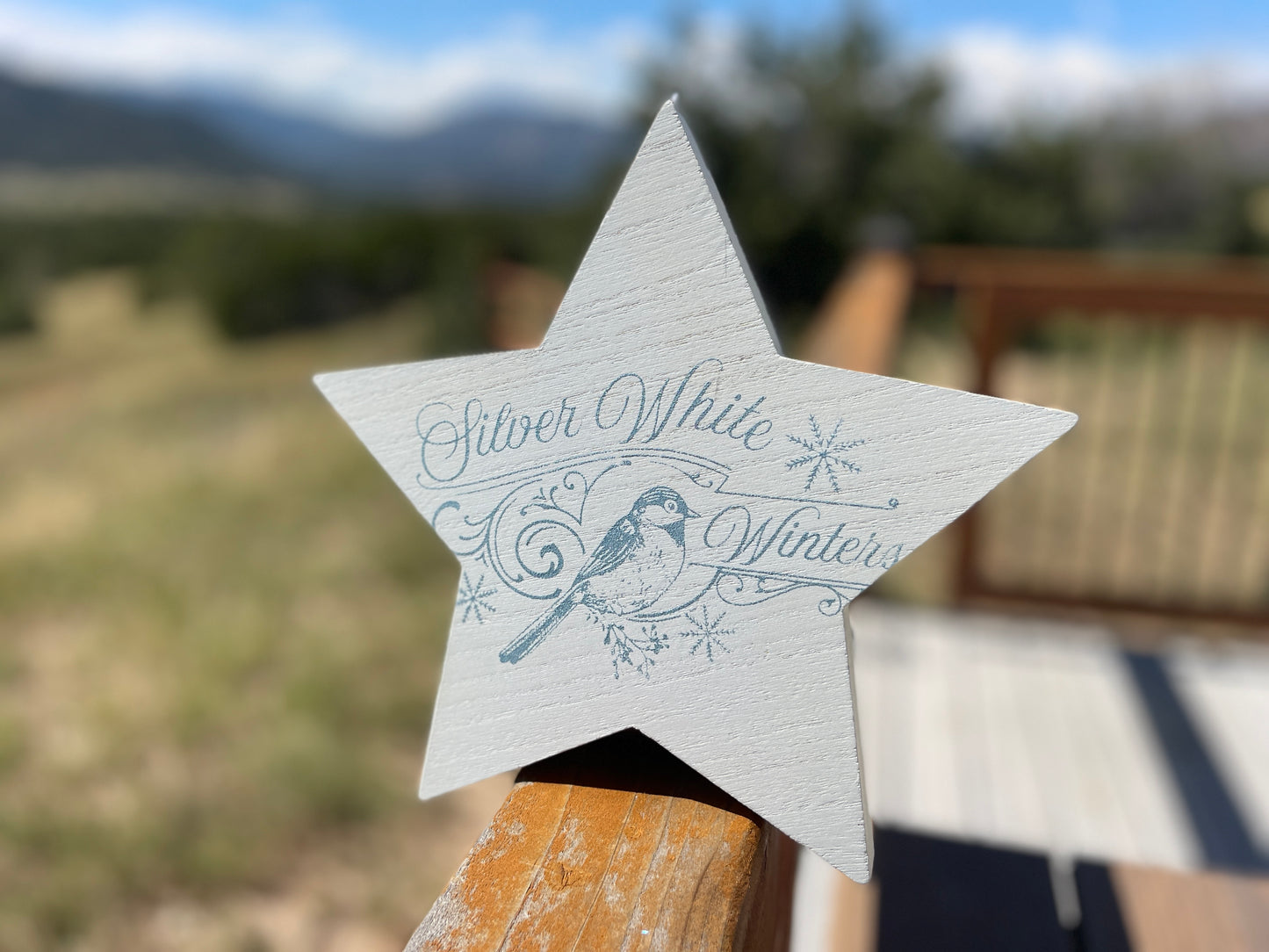 Silver White Winters Star Cutout