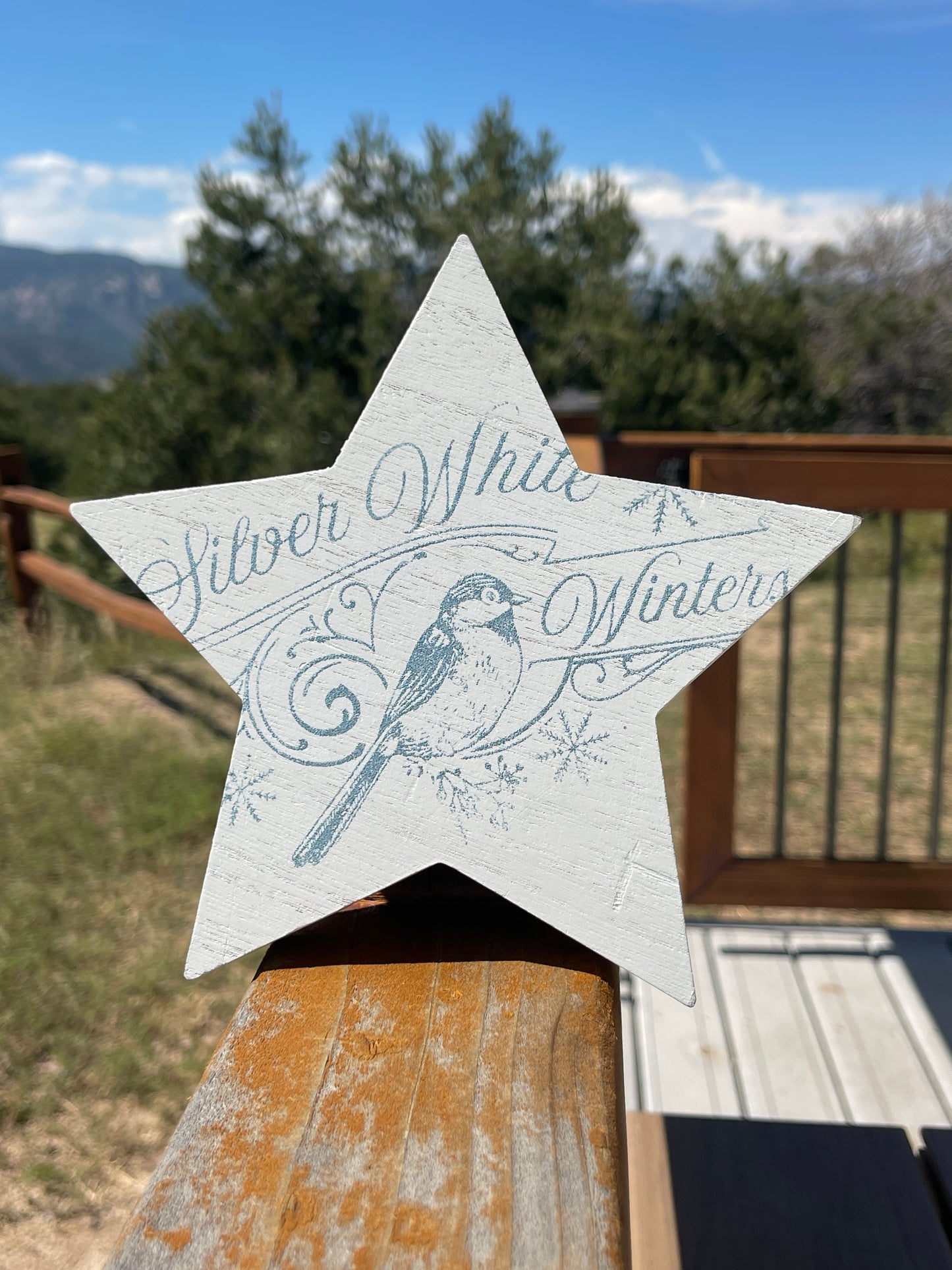 Silver White Winters Star Cutout