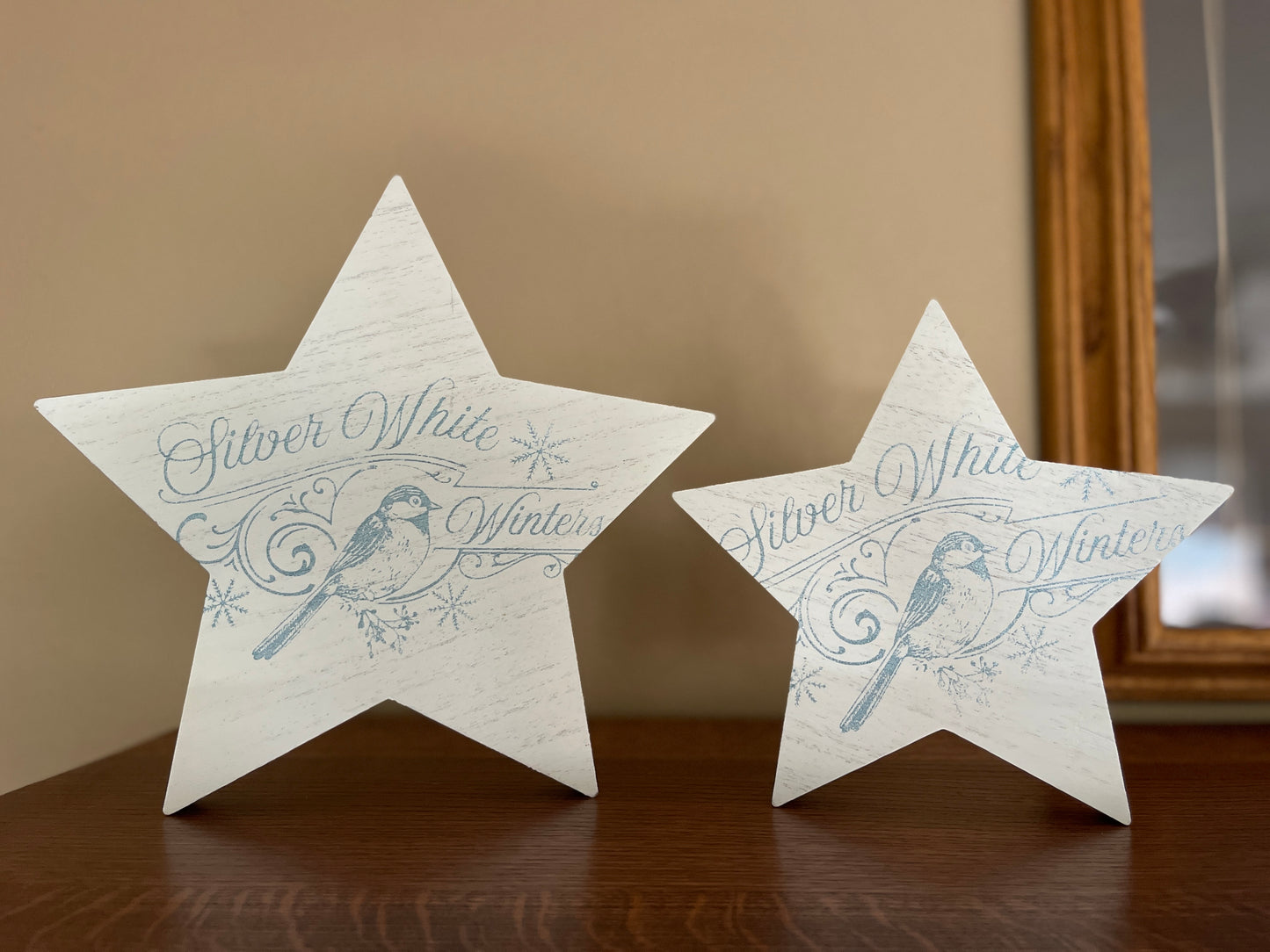 Silver White Winters Star Cutout